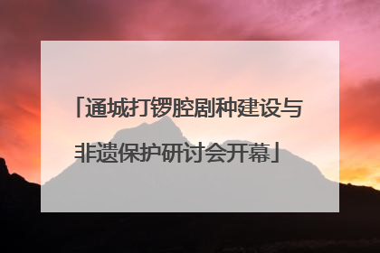 通城打锣腔剧种建设与非遗保护研讨会开幕