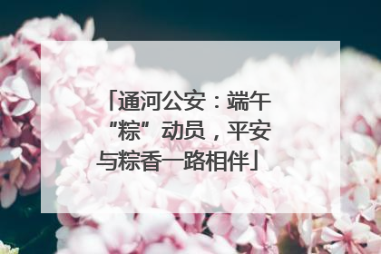 通河公安：端午“粽”动员，平安与粽香一路相伴