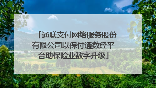 通联支付网络服务股份有限公司以保付通数经平台助保险业数字升级