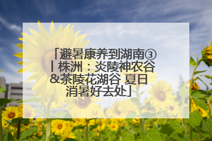 避暑康养到湖南③丨株洲：炎陵神农谷&茶陵花湖谷 夏日消暑好去处