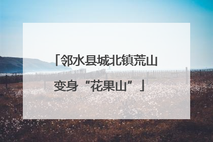 邻水县城北镇荒山变身“花果山”