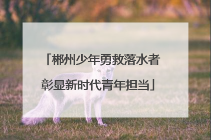 郴州少年勇救落水者 彰显新时代青年担当