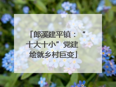 郎溪建平镇：“十大十小”党建 绘就乡村巨变