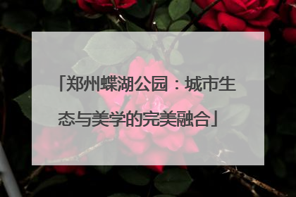郑州蝶湖公园：城市生态与美学的完美融合
