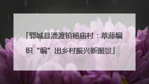 郓城县潘渡镇杨庙村：草藤编织“编”出乡村振兴新图景