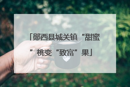 郧西县城关镇“甜蜜”桃变“致富”果