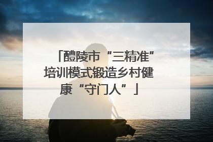 醴陵市“三精准”培训模式锻造乡村健康“守门人”