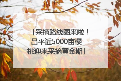 采摘路线图来啦！昌平近5000亩樱桃迎来采摘黄金期