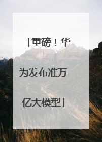 重磅！华为发布准万亿大模型