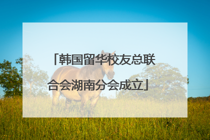 韩国留华校友总联合会湖南分会成立