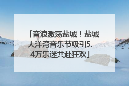 音浪激荡盐城！盐城大洋湾音乐节吸引5.4万乐迷共赴狂欢