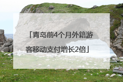青岛前4个月外籍游客移动支付增长2倍