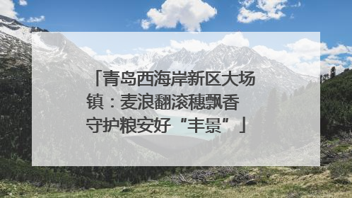 青岛西海岸新区大场镇：麦浪翻滚穗飘香 守护粮安好“丰景”