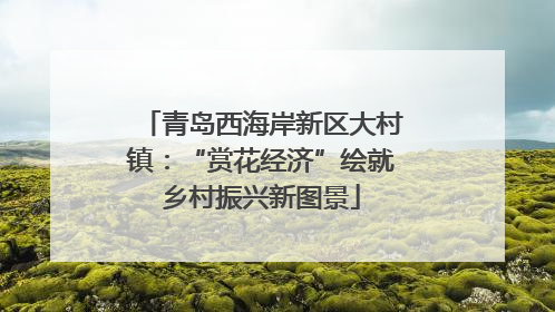 青岛西海岸新区大村镇：“赏花经济”绘就乡村振兴新图景
