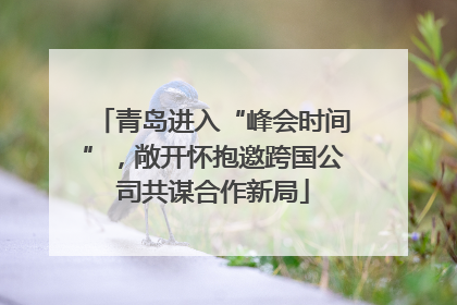 青岛进入“峰会时间”，敞开怀抱邀跨国公司共谋合作新局