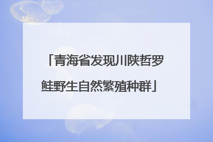 青海省发现川陕哲罗鲑野生自然繁殖种群