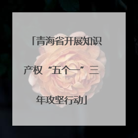 青海省开展知识产权“五个一”三年攻坚行动