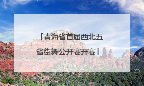 青海省首届西北五省街舞公开赛开赛