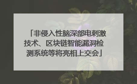 非侵入性脑深部电刺激技术、区块链智能漏洞检测系统等将亮相上交会