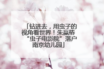 钻进去，用虫子的视角看世界！朱赢椿“虫子电影院”落户南京幼儿园