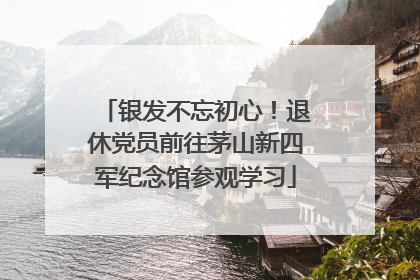 银发不忘初心！退休党员前往茅山新四军纪念馆参观学习