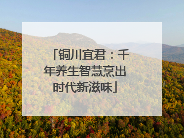 铜川宜君：千年养生智慧烹出时代新滋味
