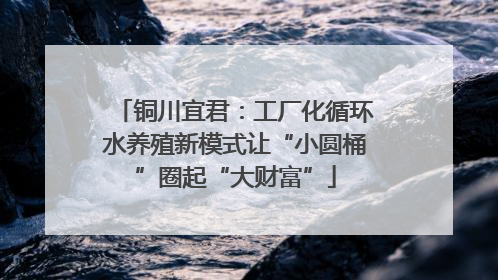 铜川宜君：工厂化循环水养殖新模式让“小圆桶”圈起“大财富”