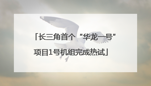 长三角首个“华龙一号”项目1号机组完成热试