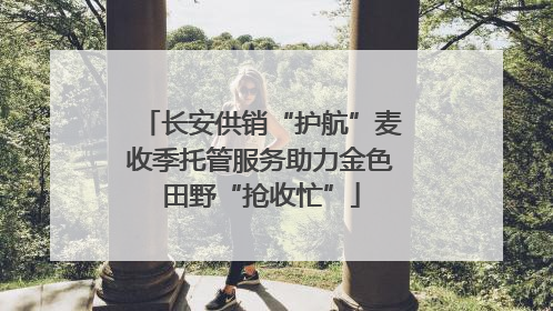 长安供销“护航”麦收季托管服务助力金色田野“抢收忙”
