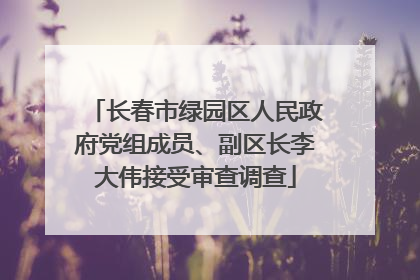 长春市绿园区人民政府党组成员、副区长李大伟接受审查调查