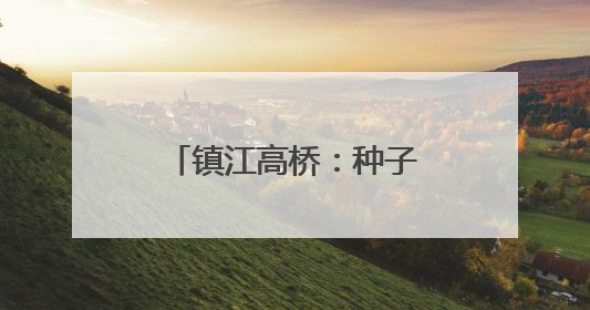 镇江高桥：种子落处飞鸟至 人鸟和谐趣景来