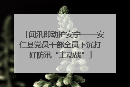 闻汛即动护安宁——安仁县党员干部全员下沉打好防汛“主动战”