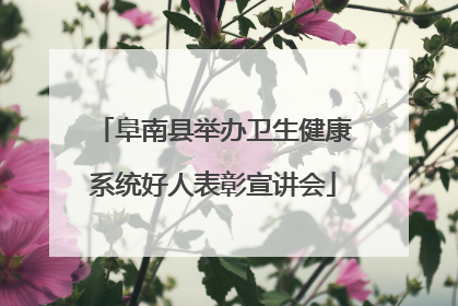 阜南县举办卫生健康系统好人表彰宣讲会