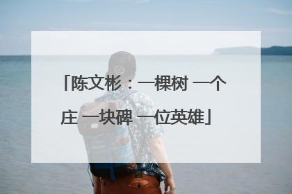 陈文彬：一棵树 一个庄 一块碑 一位英雄