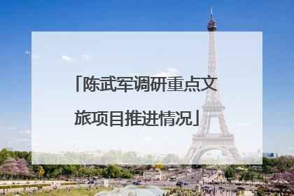 陈武军调研重点文旅项目推进情况