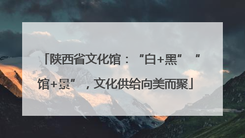 陕西省文化馆：“白+黑”“馆+景”，文化供给向美而聚