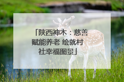 陕西神木：慈善赋能养老 绘就村社幸福图景