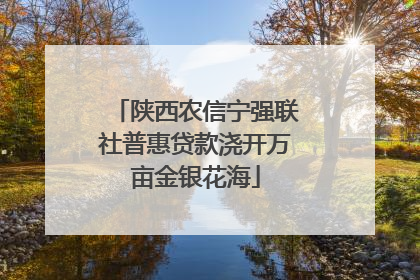 陕西农信宁强联社普惠贷款浇开万亩金银花海