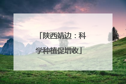 陕西靖边：科学种植促增收