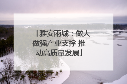 雅安雨城：做大做强产业支撑 推动高质量发展