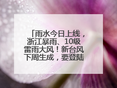 雨水今日上线，浙江暴雨、10级雷雨大风！新台风下周生成，要登陆浙江？