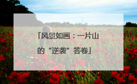 风景如画：一片山的“逆袭”答卷