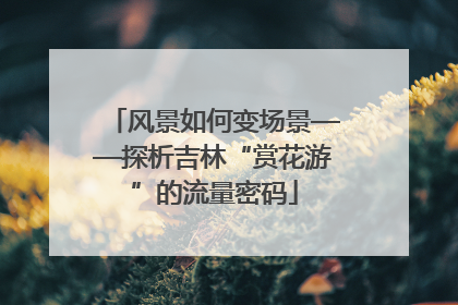 风景如何变场景——探析吉林“赏花游”的流量密码