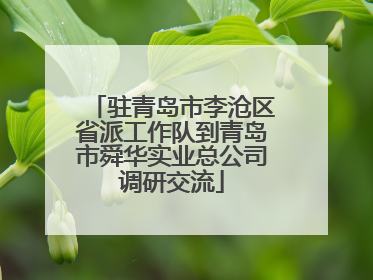 驻青岛市李沧区省派工作队到青岛市舜华实业总公司调研交流