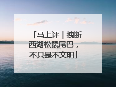 马上评｜拽断西湖松鼠尾巴，不只是不文明