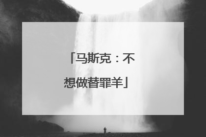 马斯克：不想做替罪羊