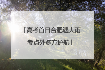 高考首日合肥遇大雨 考点外多方护航