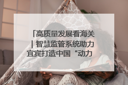 高质量发展看海关｜智慧监管系统助力宜宾打造中国“动力电池之都”