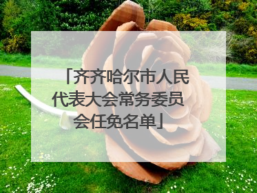 齐齐哈尔市人民代表大会常务委员会任免名单
