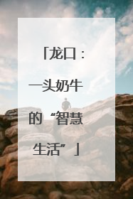 龙口：一头奶牛的“智慧生活”